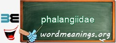 WordMeaning blackboard for phalangiidae